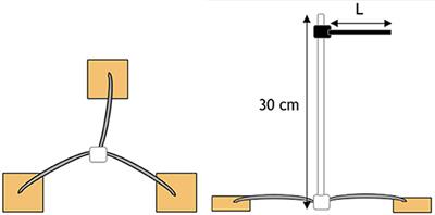 Soil Biodegradation of Unidirectional Polyhydroxybutyrate-Co-Valerate (PHBV) Biocomposites Toughened With Polybutylene-Adipate-Co-Terephthalate (PBAT) and Epoxidized Natural Rubber (ENR)